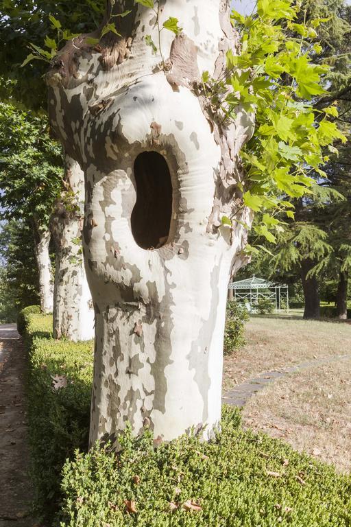 Hôtel Bricco Pogliani à CastellʼAlfero Extérieur photo